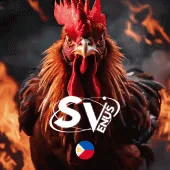 vsport Game 12